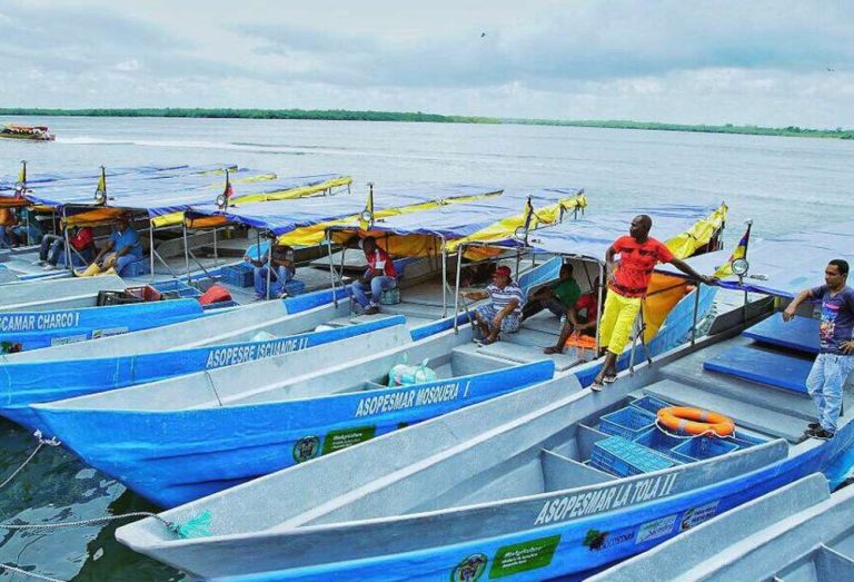 Un grupo de pescadores artesanales del Pac&iacute;fico colombiano captura diversas especies de peces, utilizando t&eacute;cnicas tradicionales que son fundamentales para su sustento y la econom&iacute;a local.