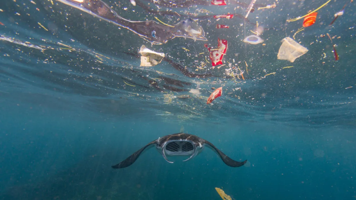 Contaminación plástica en océanos