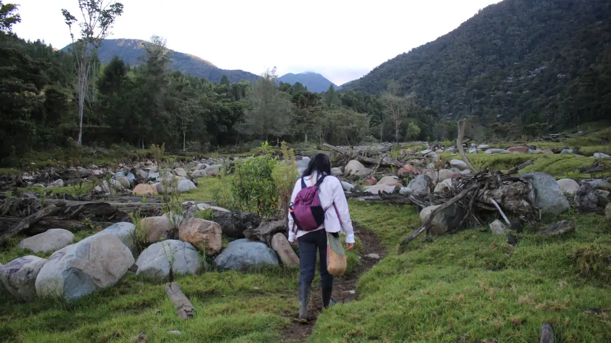 Ruta a la Reserva Colibrí del Sol, hogar de la magnolia Almangrea de Urrao.”
