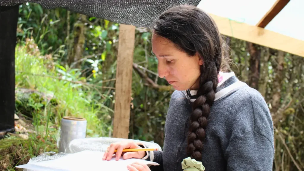Luz registra fecha de siembra, germinación y altura de la magnolia almanegra de Urrao.