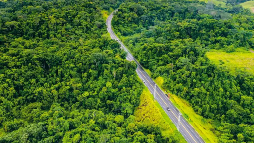 Autopista Magdalena 2 fragmenta un bosque en dos en Antioquia.