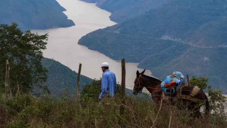 Amenazas y asesinatos de l&iacute;deres sociales en Antioquia.