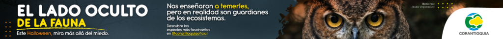 servicios de publicidad en medios de comunicación en Medellín