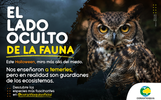 Servicio de publicidad en Medell&iacute;n a trav&eacute;s de Breve Medio