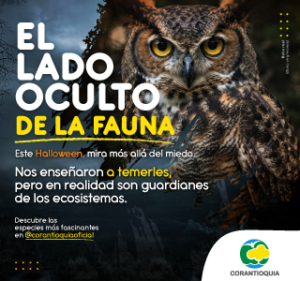 Marketing digital en Medellín con Breve Medio, medio de comunicación.