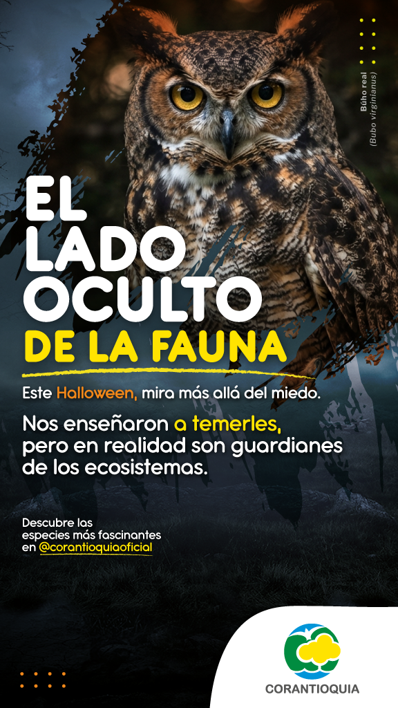 Publicidad digital y agencia de marketing digital en Medell&iacute;n 