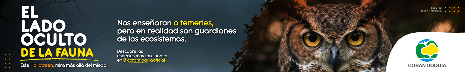 Anuncia tu marca en Breve Medio y conecta con lectores de Medell&iacute;n y Antioquia a trav&eacute;s de nuestros espacios de publicidad digital.
