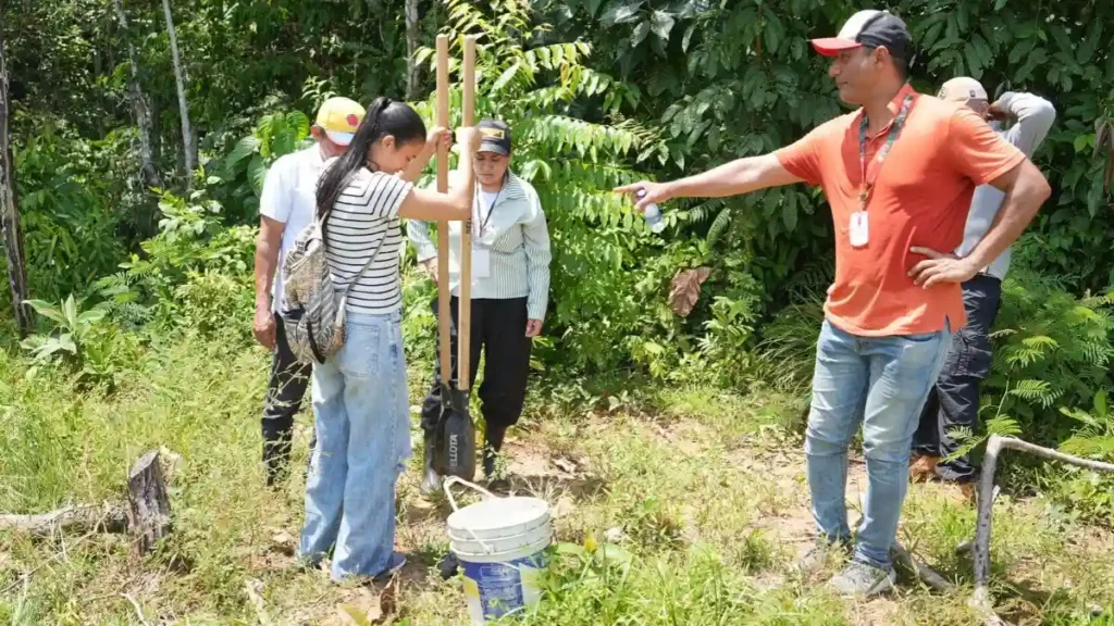 Mujeres lideran la reforestación en el corredor del jaguar en Antioquia.